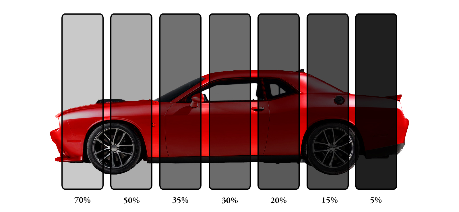 Tinting Options